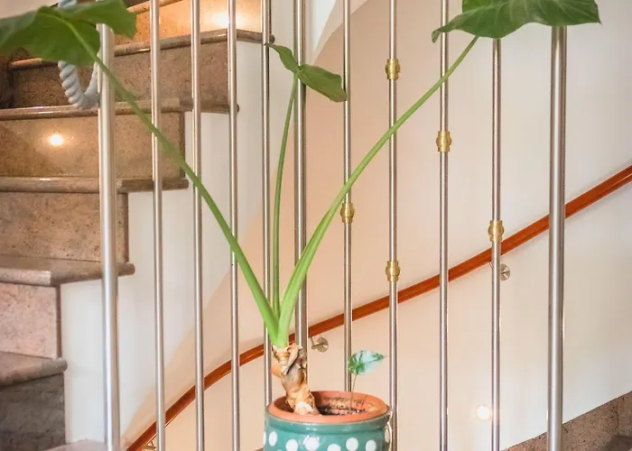 Nena Nočitev z zajtrkom