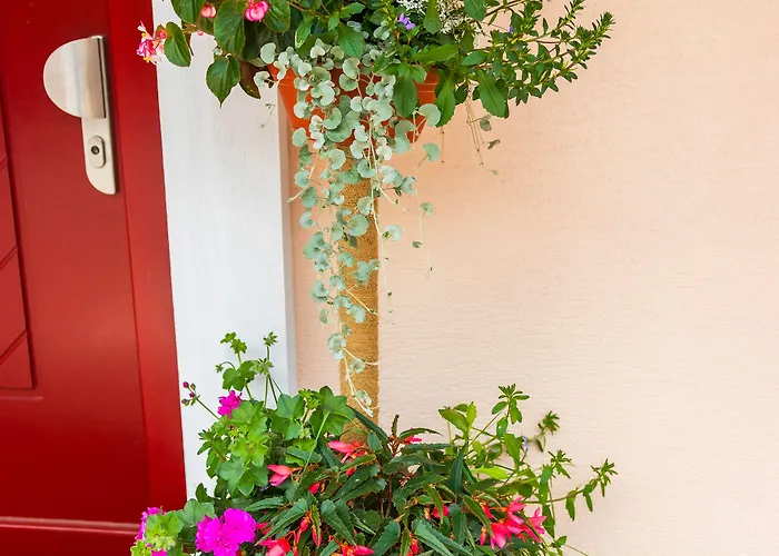 Nočitev z zajtrkom Nena